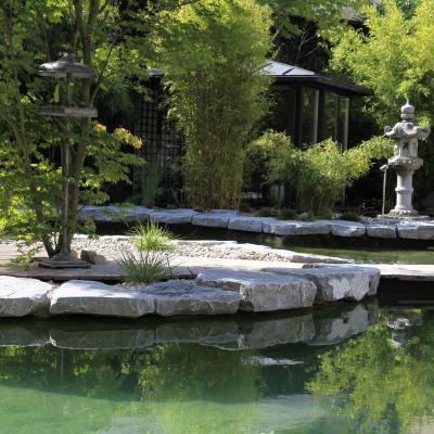 Wellness Garden - Swimming Pool Zen Area